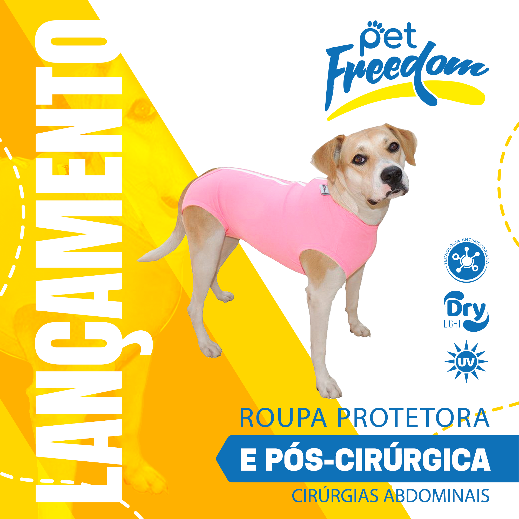 Roupa Protetora Cães Fêmeas, Cirurgias Abdominais